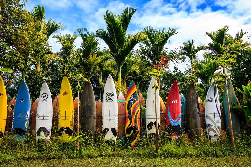 Surfboard Fence Maui - Surfboard Photography For Sale | Paia, Maui